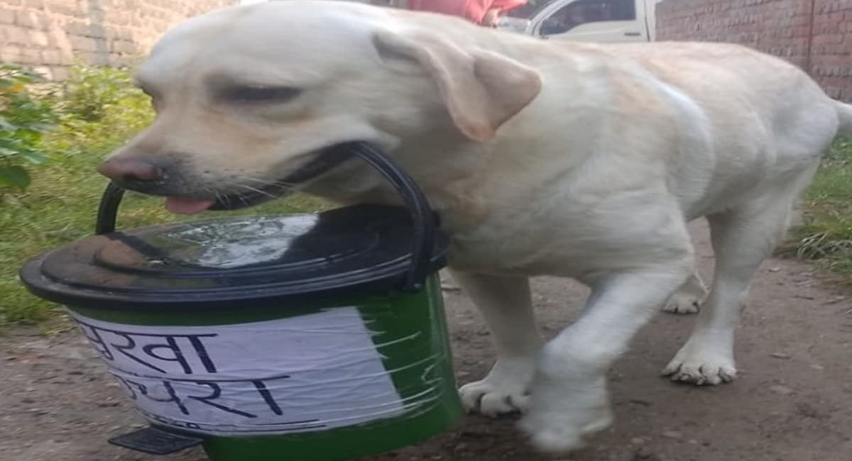 Jharkhand News : फिल्मी अंदाज में स्वच्छता का संदेश दे रहा यह डॉग, जानकर बन जाएंगे फैन