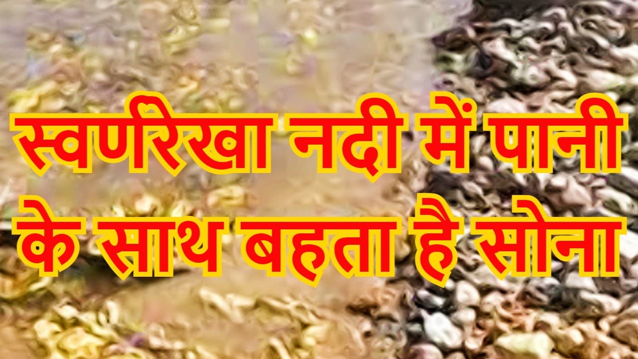 Ranchi: झारखंड, ओड़िशा, बंगाल में बहती इस नदी में मिलता है Gold, रांची के आदिवासियों की कमाई का है जरिया