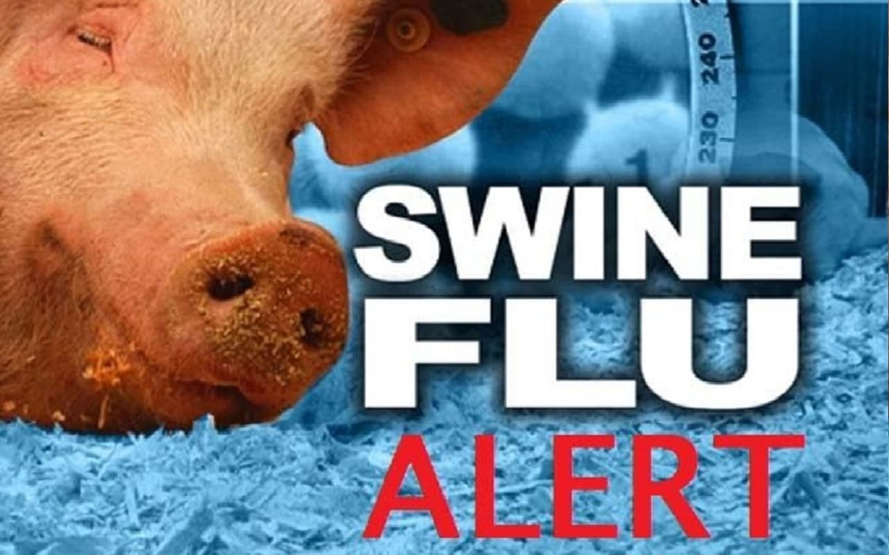 Jalandhar Swine Flu News : जालंधर में बढ़ा स्वाइन फ्लू का खतरा, स्वास्थ्य विभाग की टीम ने दी वार्निंग