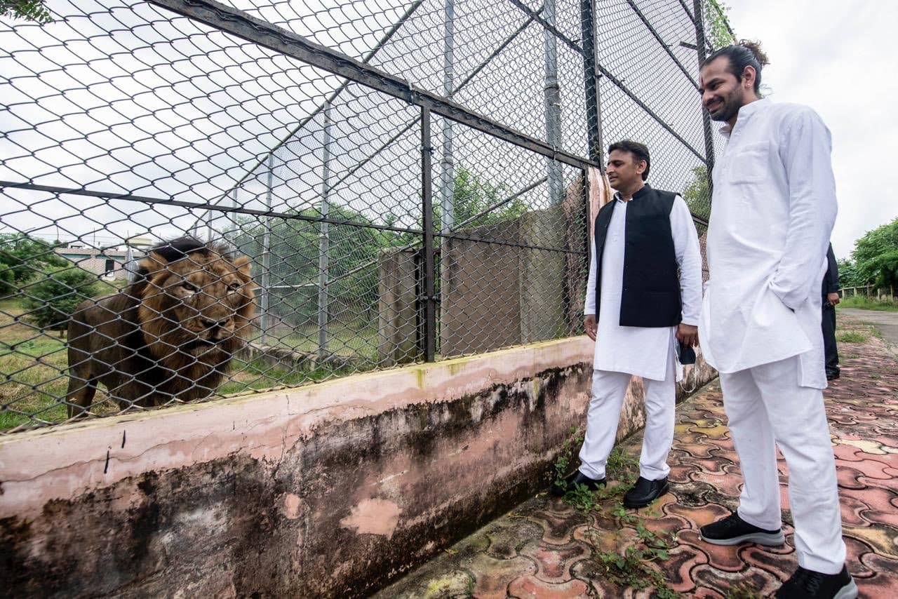 बहन की ससुराल इटावा पहुंचे तेज प्रताप यादव, अखिलेश यादव ने कराई शेरों से मुलाकात, देखें तस्वीरें