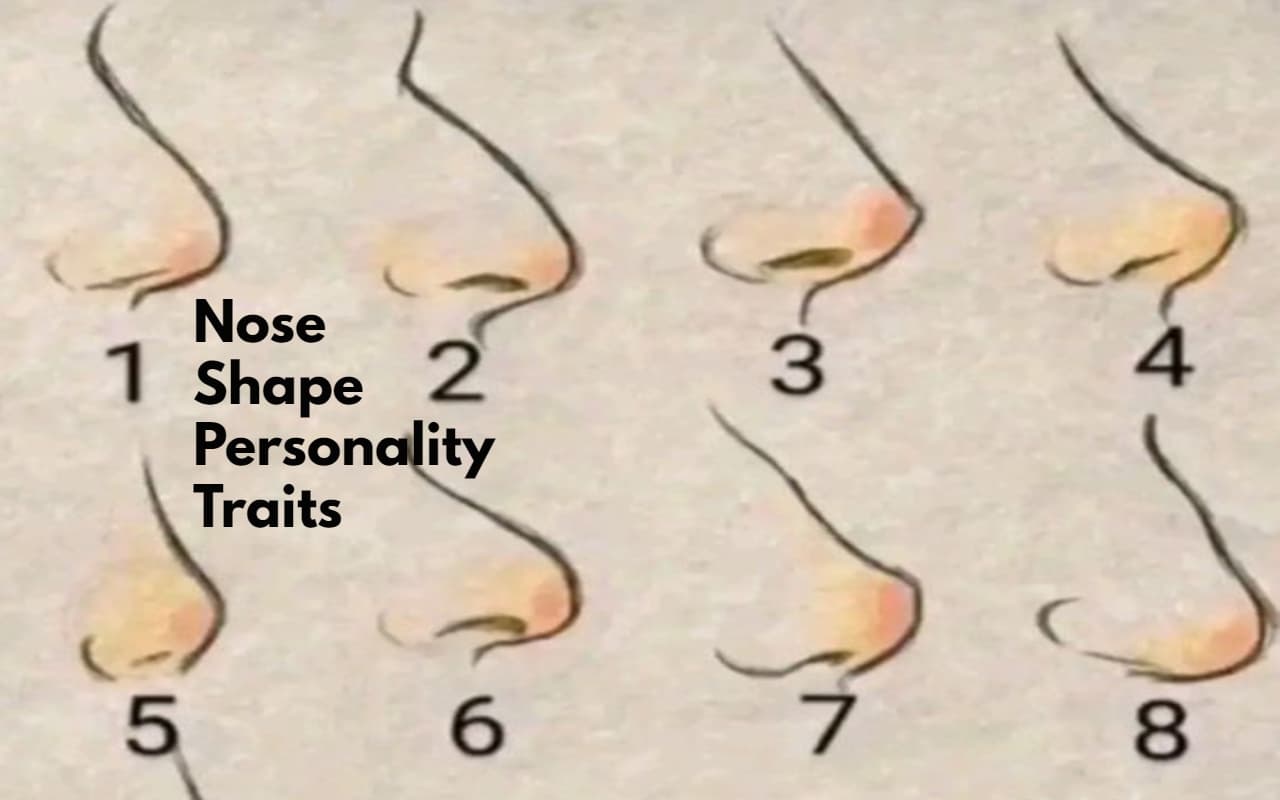 Nose Shape Personality Traits: अपने नाक के आकार से जानिए कैसी है आपकी पसर्नालिटी