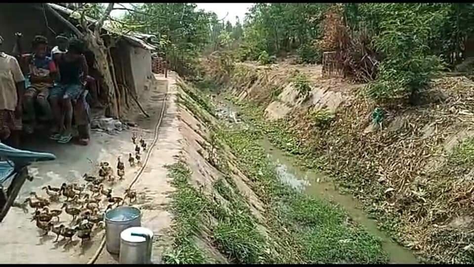 सारण में अभी तक सूखी पड़ी दोनों नहरें, गेहूं पटवन के लिए किसान परेशान