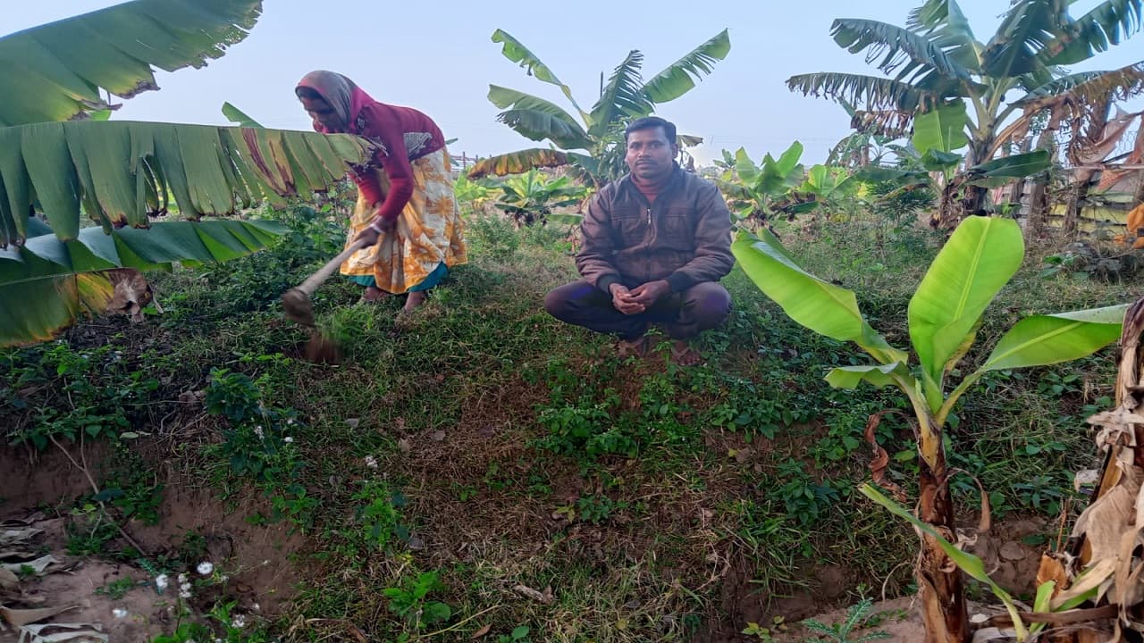 Jharkhand News: झारखंड में एक शिक्षक ने बंजर जमीन में बिखेर दी हरियाली, लेकिन इस बात का है इन्हें मलाल