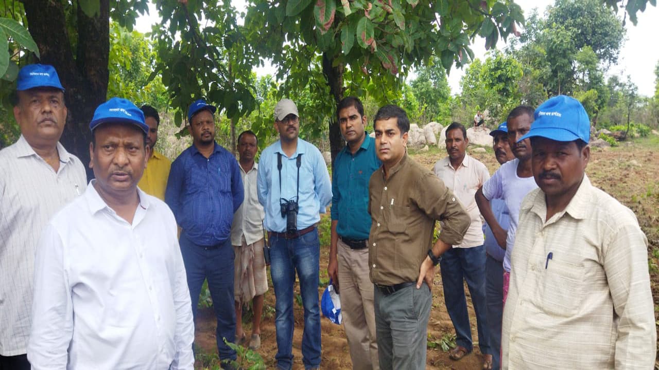 झुंड से बिछड़े बीमार हाथी को देखने लातेहार के अमाटोंगरी जंगल पहुंचे अधिकारी, कहा- हो रहा सुधार