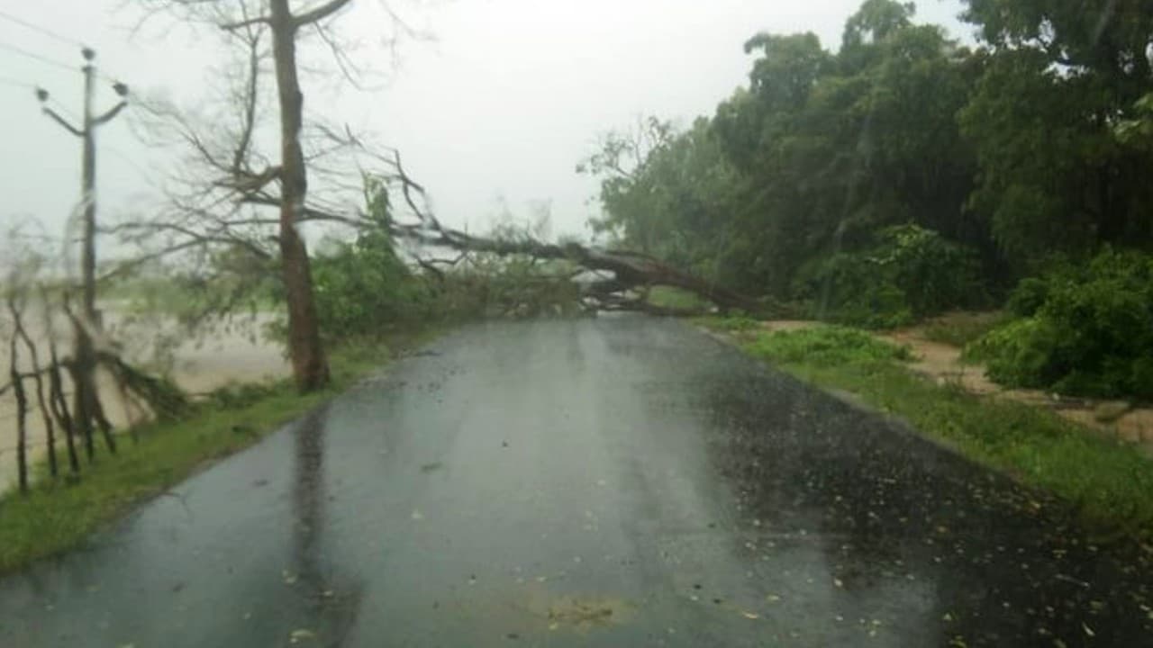 तेलंगाना में बारिश का रेड अलर्ट, शिक्षण संस्थानों में तीन दिन की छुट्टी, KCR ने अफसरों को दिये ये निर्देश