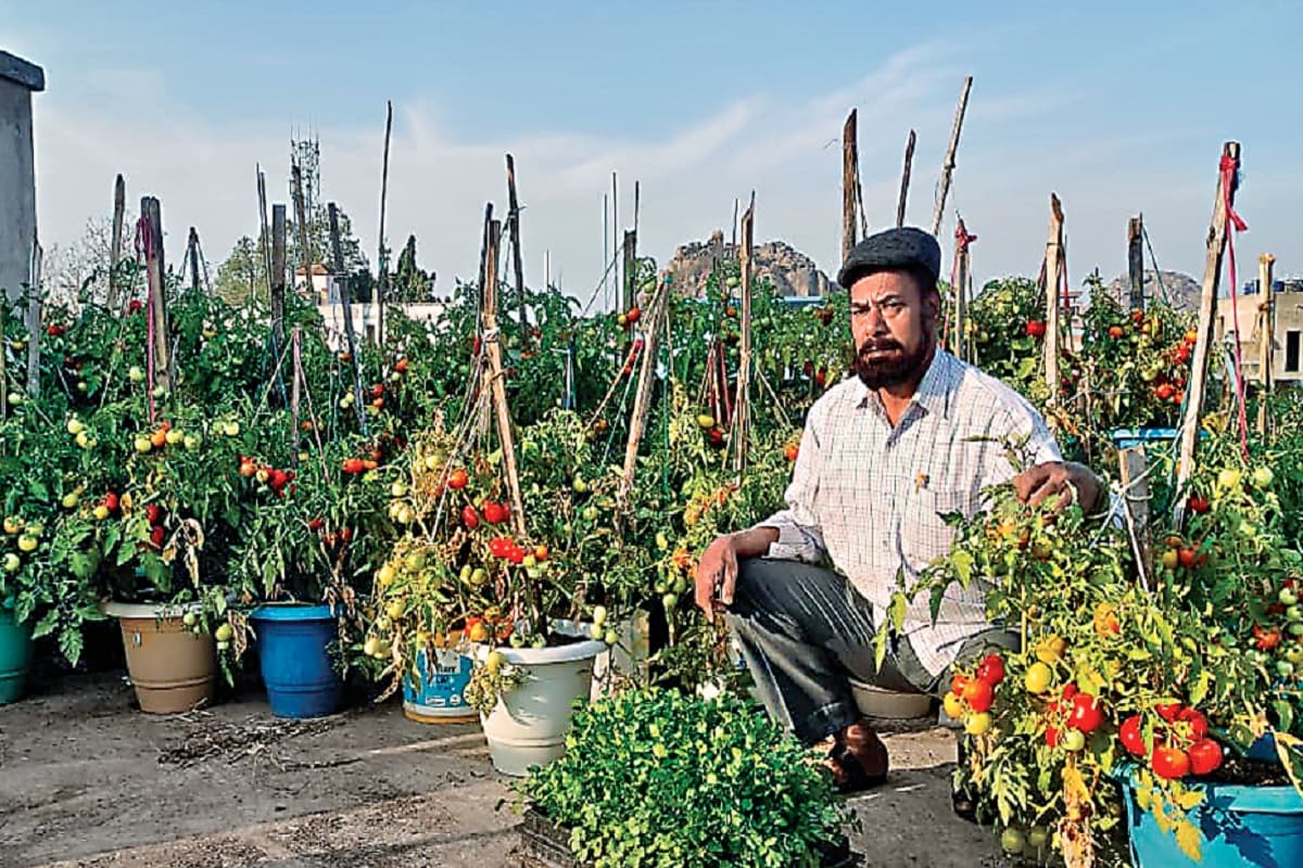 झारखंड के लोगों में बढ़ रहा है टेरेस गार्डन का चलन, अंगूर, ब्लूबेरी और ब्लैकबेरी समेत कई चीजों की कर रहे खेती