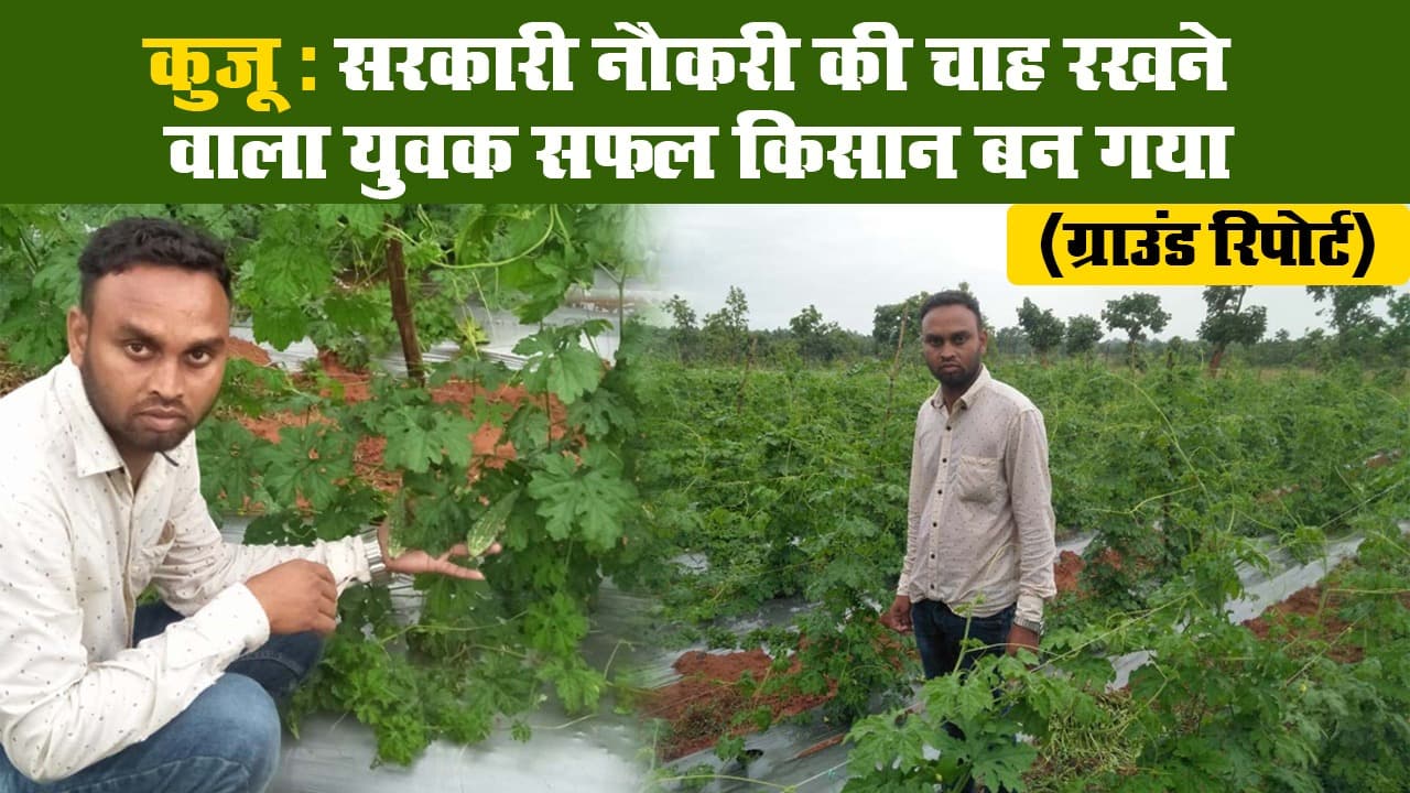 कुजू : सरकारी नौकरी की चाह रखने वाला युवक सफल किसान बन गया II ग्राउंड रिपोर्ट