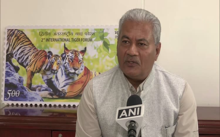 Tiger Population: 2018 के बाद बाघों की आबादी में आया जबरदस्त उछाल, देश में संख्या 3000 के पार