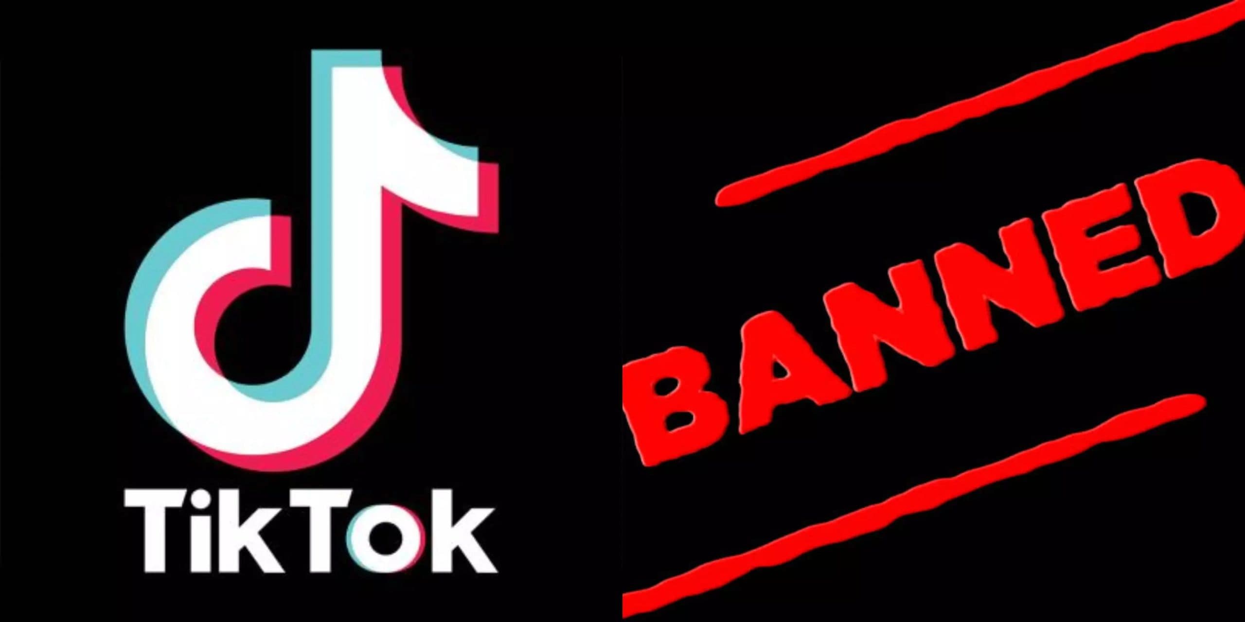 TikTok Ban : भारत और अमेरिका के बाद पाकिस्तान में भी बैन हुआ टिकटॉक, लेकिन वजह दूसरी...