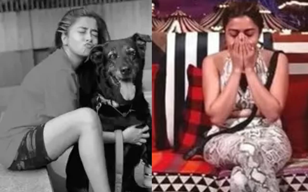 Bigg Boss 16: पेट डॉग की मौत की खबर सुन फूट-फूट कर रोने लगी टीना दत्ता, इस शख्स ने एक्ट्रेस को संभाला