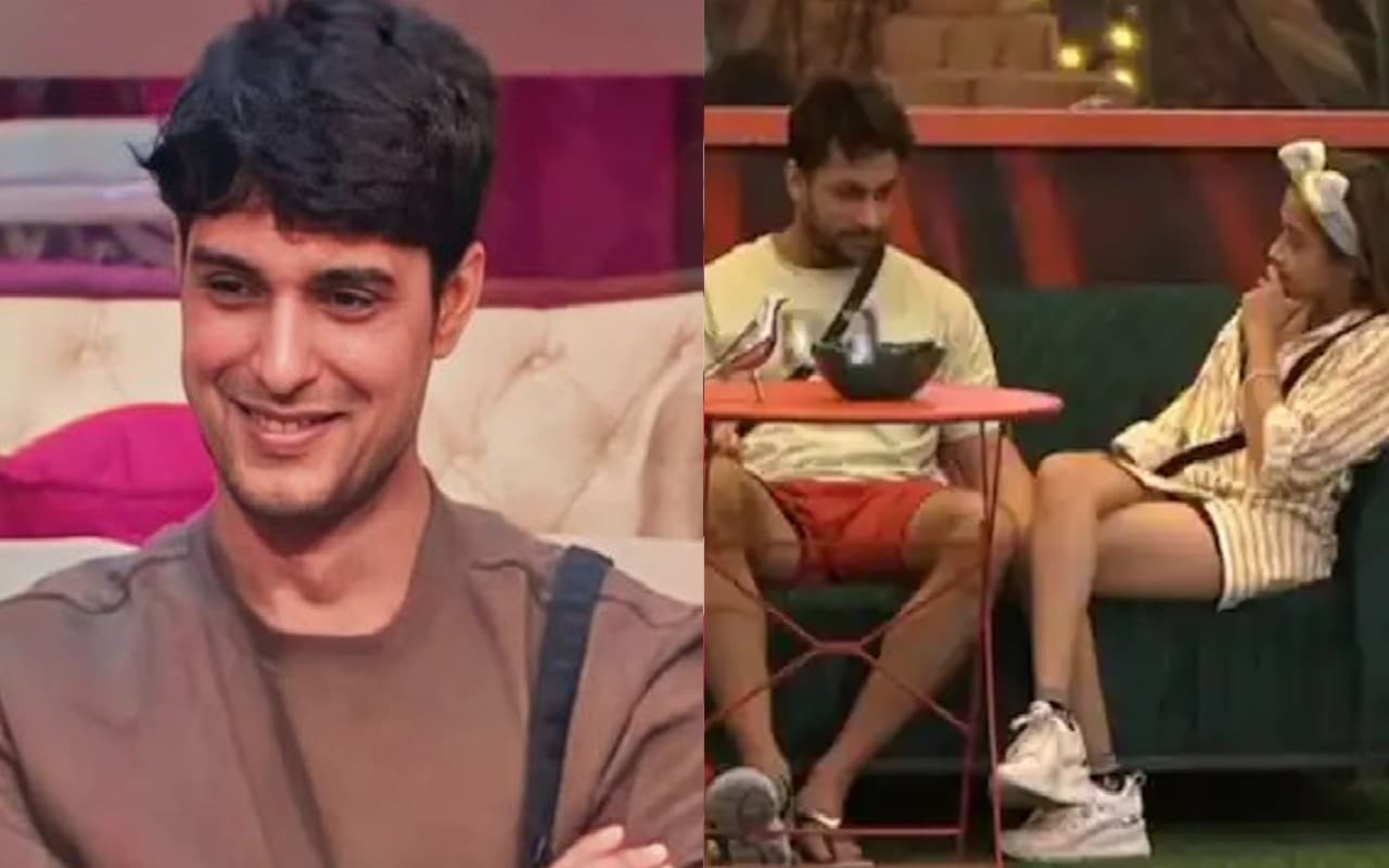 Bigg Boss 16: टीना दत्ता और शालीन भनोट के बीच है प्यार? अंकित गुप्ता का इसपर आया शॉकिग बयान, वायरल वीडियो