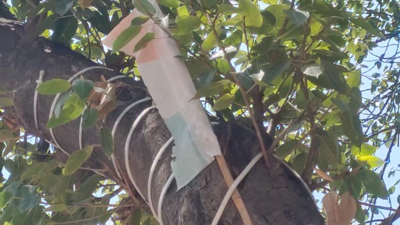 Republic Day 2024: ये हैं गणतंत्र दिवस पर लखनऊ में घूमने की जगहें