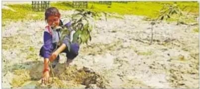 कोरोना संक्रमण के भयावह दौर में दीपिका ने आपदा को बनाया अवसर, लगाये हजारों पौधे