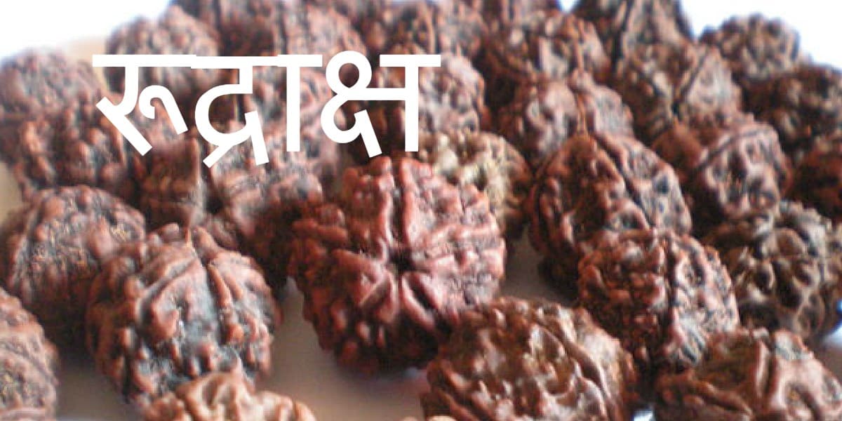 रुद्राक्ष पहनने से चेहरे पर चमक आती है, आत्मविश्वास बढ़ता है, जानें इसके फायदे