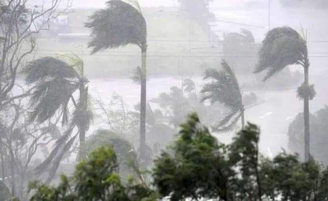 चक्रवात ‘अम्फान', कोविड-19 की दोहरी चुनौती से मुकाबले के लिए तैयार  NDRF, इतनी टीमों ने संभाला मोर्चा