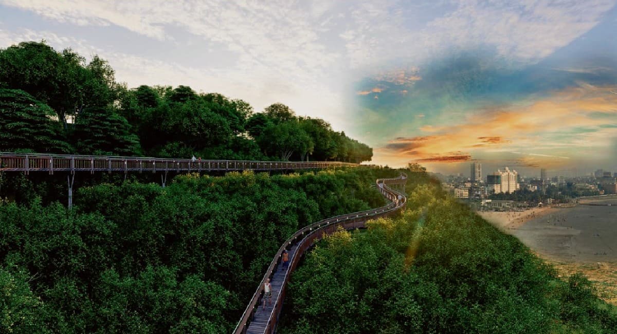 सिंगापुर की तर्ज पर मुंबई में बनेगा ट्री वॉक,  पेड़ों पर चलने का होगा अहसास