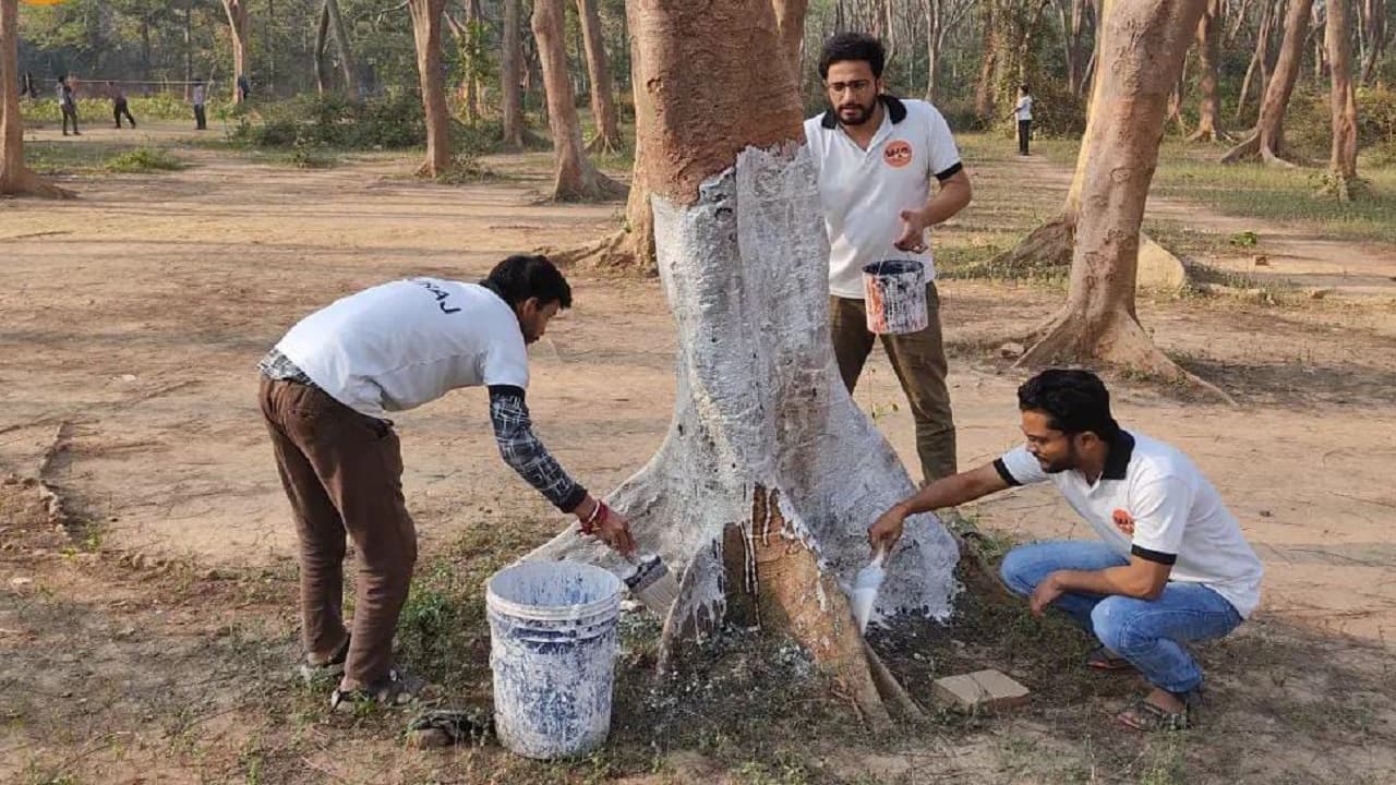 विश्व पर्यावरण दिवस: पेड़ों के जख्म का मरहम बनी भागलपुर की युवा टोली, दीमक से लेकर कील तक से कर रहे मुक्त