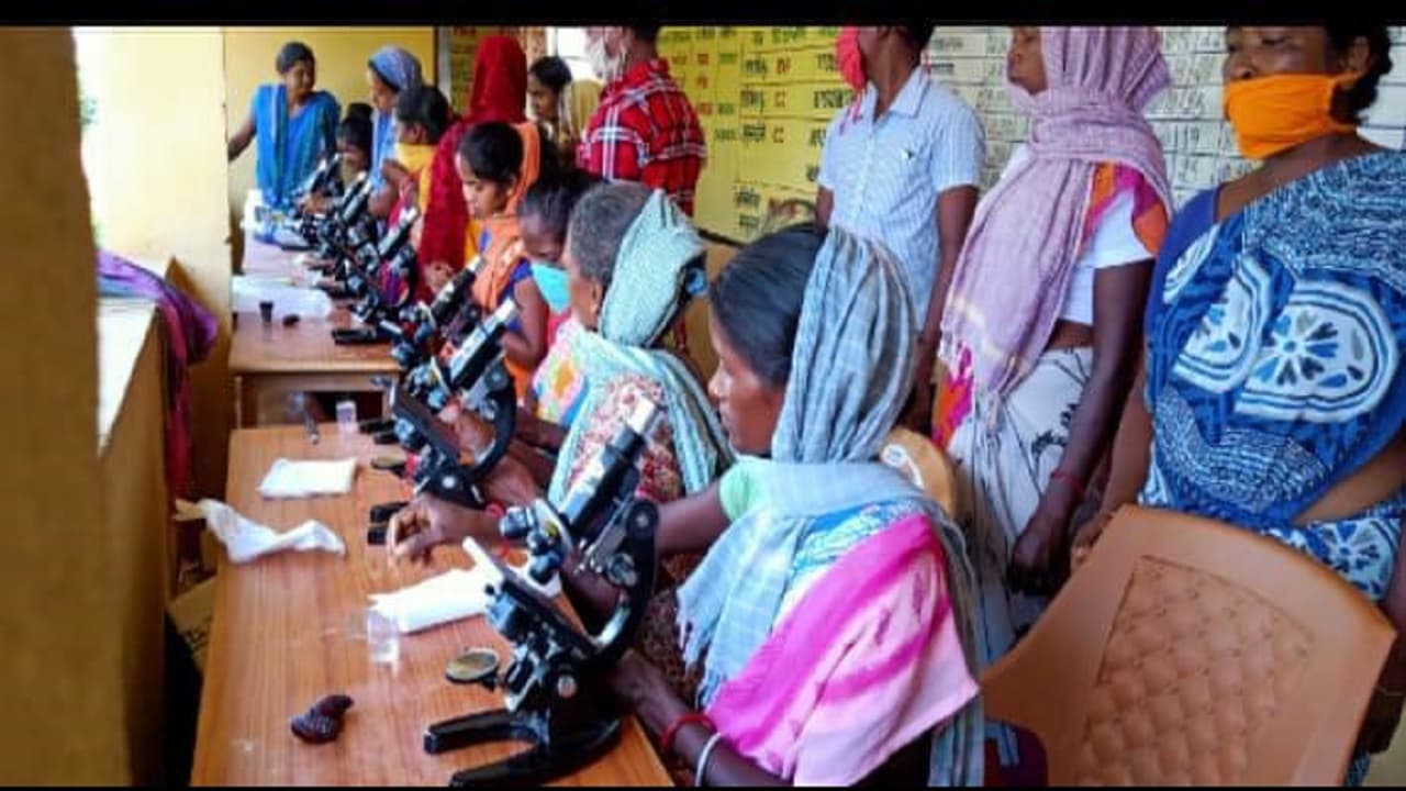 Jharkhand News: माइक्रोस्कोप से कोकून की टेस्टिंग कर रेशम के धागे बना रहीं महिलाएं, हो रही अच्छी आमदनी
