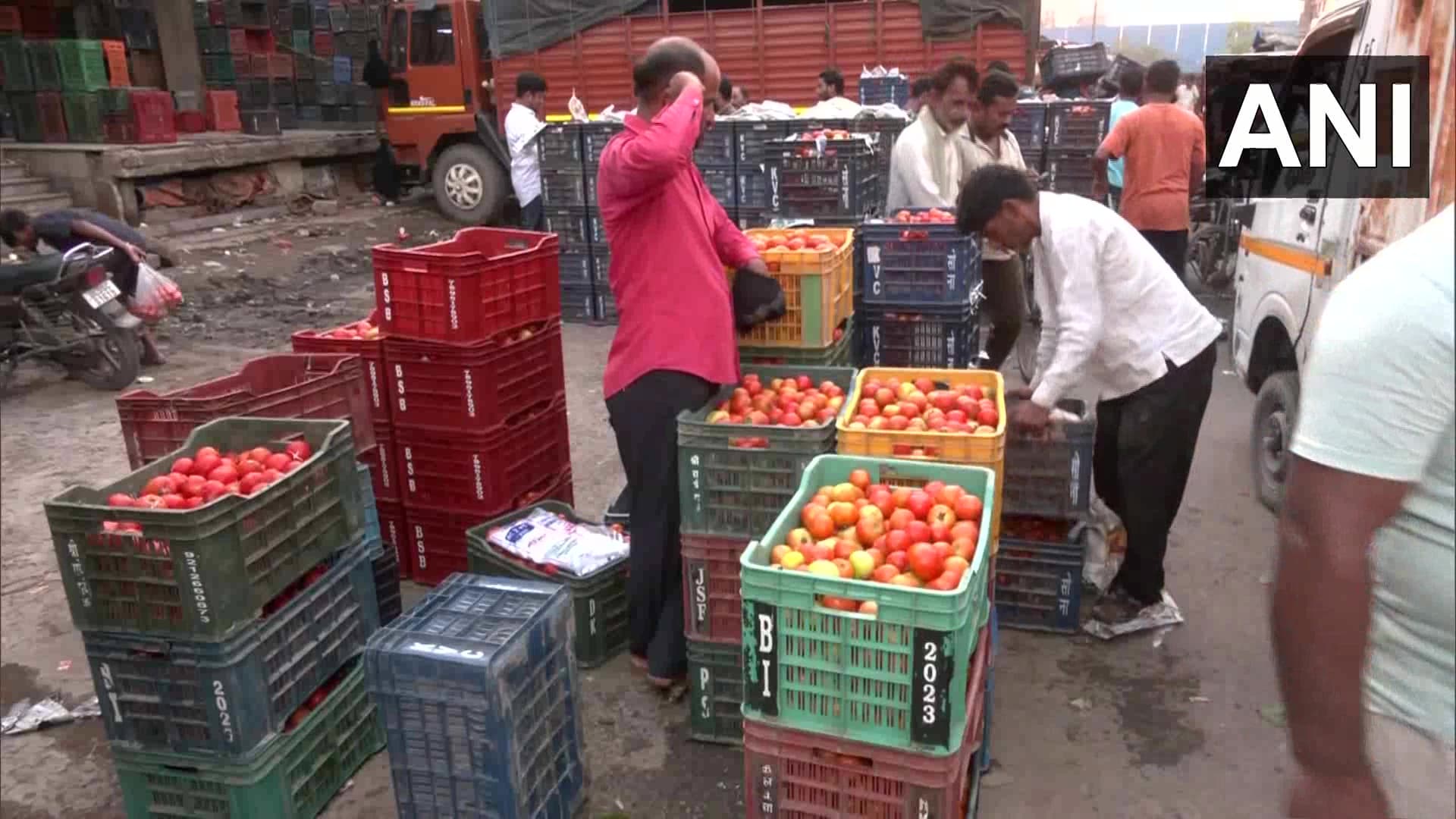 Tomato Price Hike: टमाटर ने बिगाड़ा रसोई का बजट! आसमान छू रही कीमत, जानिये कब घटेंगे दाम