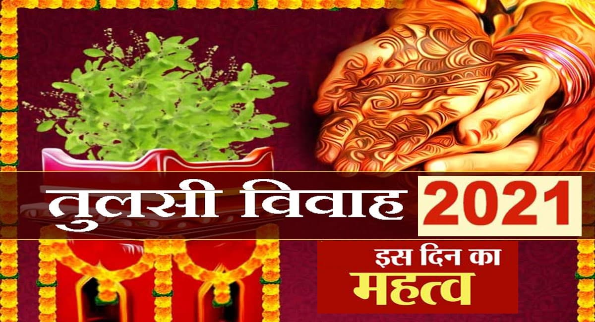 Tulsi Vivah 2021 LIVE Updates: तुलसी विवाह पर नोट कर लें पूजा सामग्री लिस्ट,जानें सबसे उत्तम मुहूर्त और विधि