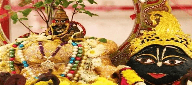 Tulsi Vivah 2021: तुलसी विवाह कराने से मिलता है सुखी वैवाहिक जीवन का आशीर्वाद, जानें पूजा विधि और पौराणिक कथा