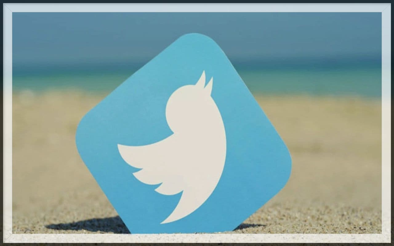 Elon Musk ट्विटर को पूरी तरह से बदलने को तैयार, जल्द Twitter पर मिलेंगे ये जबरदस्त फीचर्स