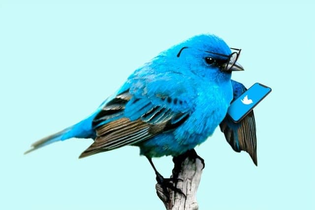 Twitter पर आया Quote Tweet फीचर, रोचक होगा माइक्रो ब्लॉगिंग का अनुभव Twitter पर आया Quote Tweet फीचर, रोचक होगा माइक्रो ब्लॉगिंग का अनुभव