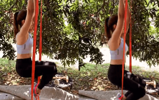 VIDEO : शाहिद कपूर की पत्‍नी मीरा राजपूत ने आम के पेड़ से लटककर किया एक्सरसाइज, फैंस को पसंद आया ये अंदाज