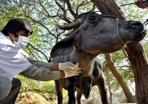 बाढ़ से सुरक्षा को लेकर अकबर से मांगे थे घोड़े और सेना, जानिये इतिहास में कैसी रही है पटना की बाढ़