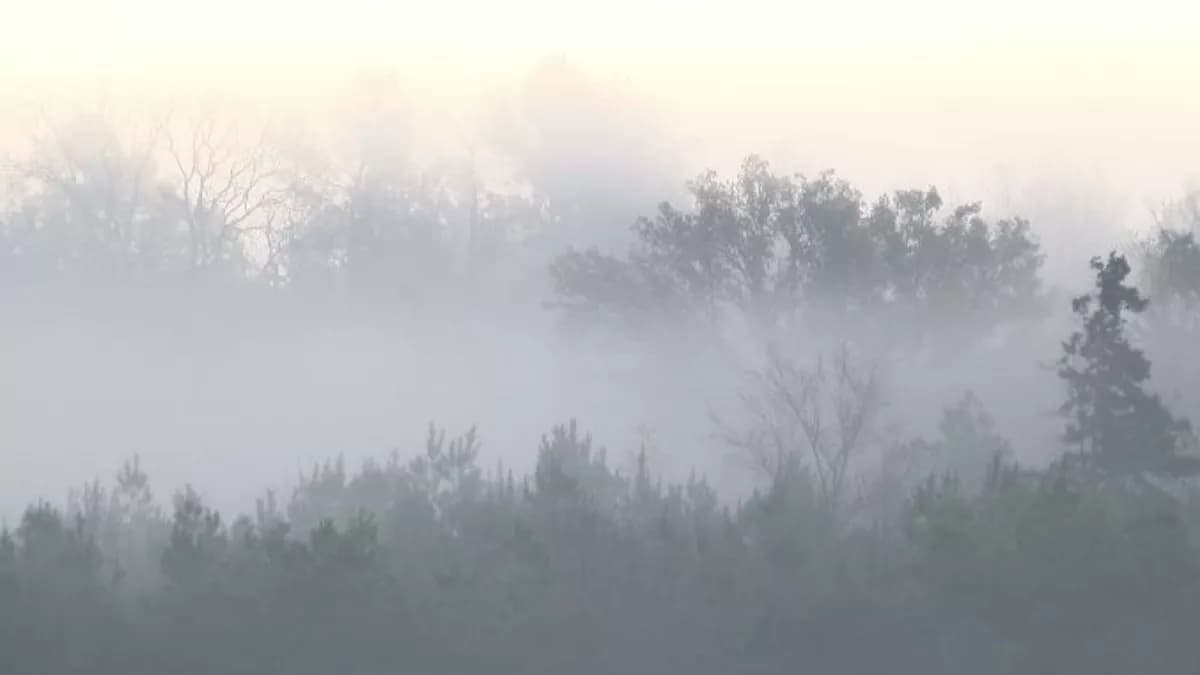 UP Weather Update: यूपी में ओस गिरने का सिलसिला होगा तेज, दिन के तापमान दिखेगी गिरावट, जानें अपने शहर का मौसम