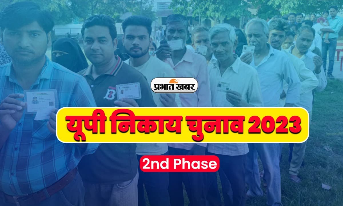 नगर निकाय चुनाव: देशभक्ति में महानगरों पर भारी छोटे शहर,साक्षरता में टॉपर जिलों की वोटिंग में 3rd डिवीजन