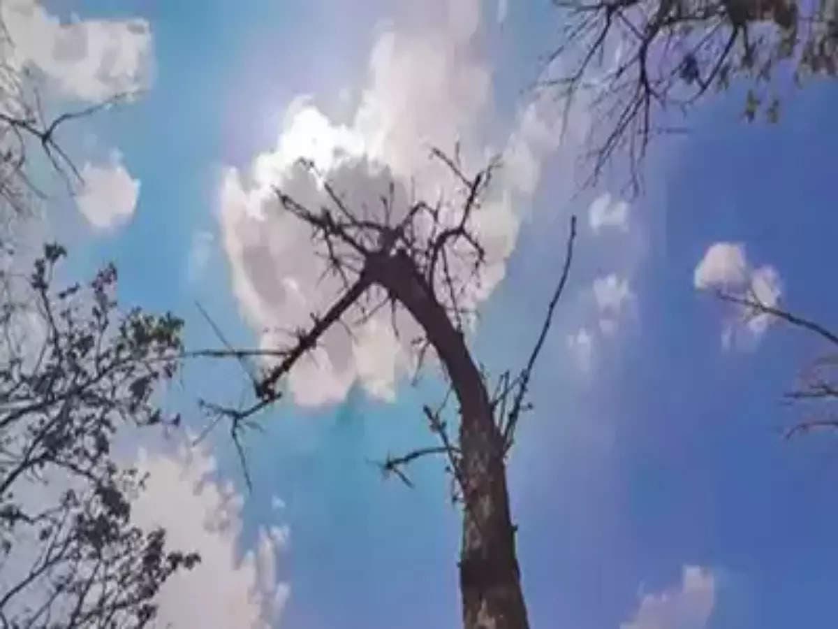 UP Weather Update: यूपी में उमस भरी गर्मी से लोग बेहाल, मौसम विभाग के पूर्वानुमान हुए फेल