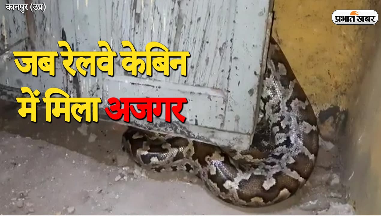 UP News: कानपुर में रेलवे केबिन में अजगर, तमाशबीनों की लगी भीड़, देर तक चला रेस्क्यू