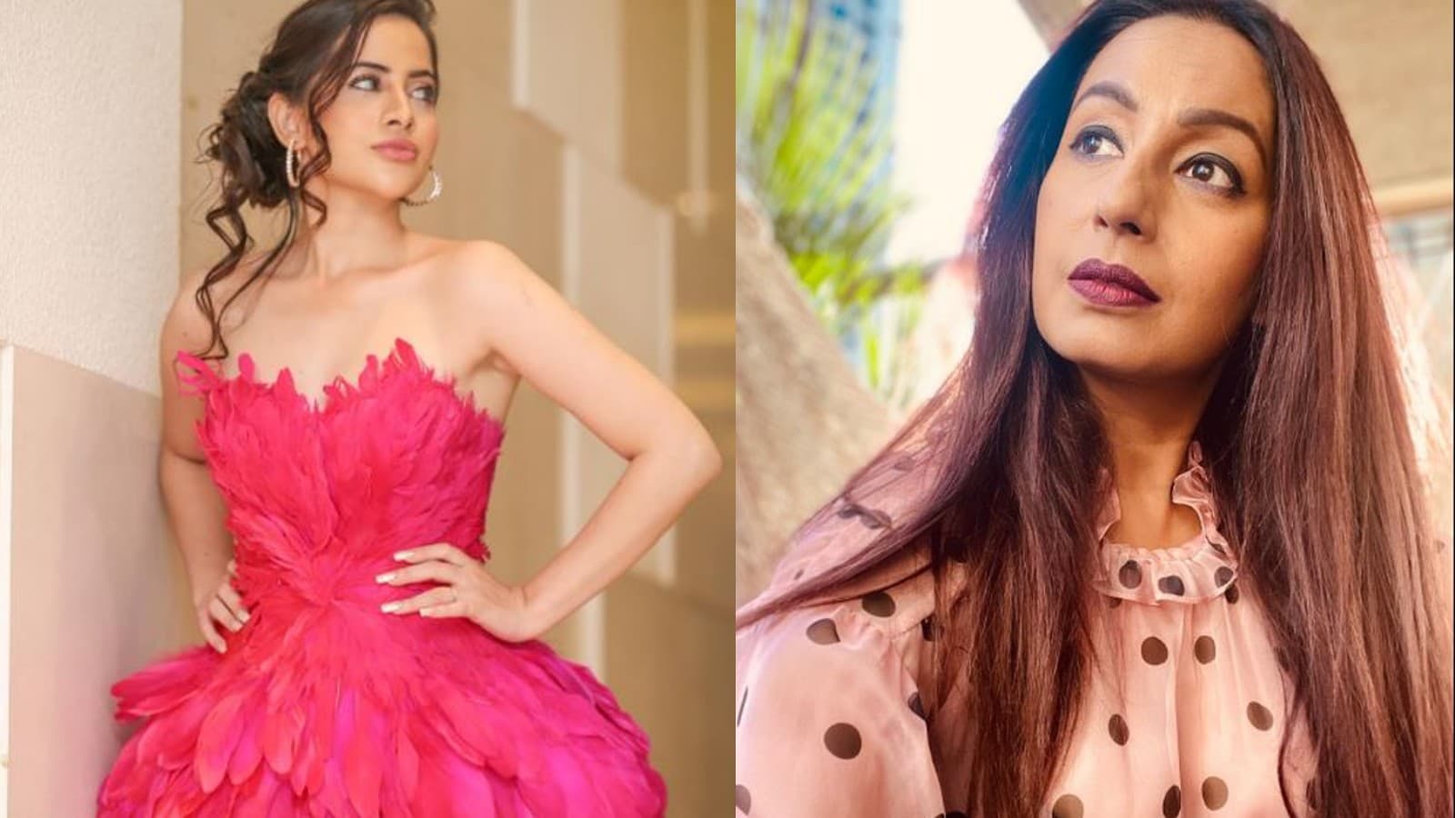 कश्मीरा शाह संग दोस्ती के बारे में पूछे जाने पर उर्फी जावेद ने दी प्रतिक्रिया,बोलीं-मैं उन्हें नहीं जानती