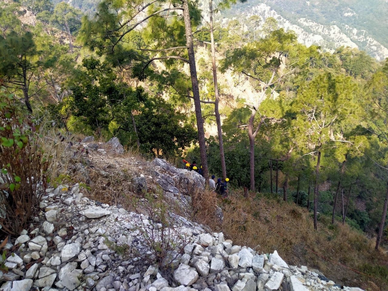 उत्तराखंड हादसा: बरात से लौट रहा वाहन खाई में गिरा, 14 के शव अब तक निकाले गये, पीएम मोदी ने शोक जताया