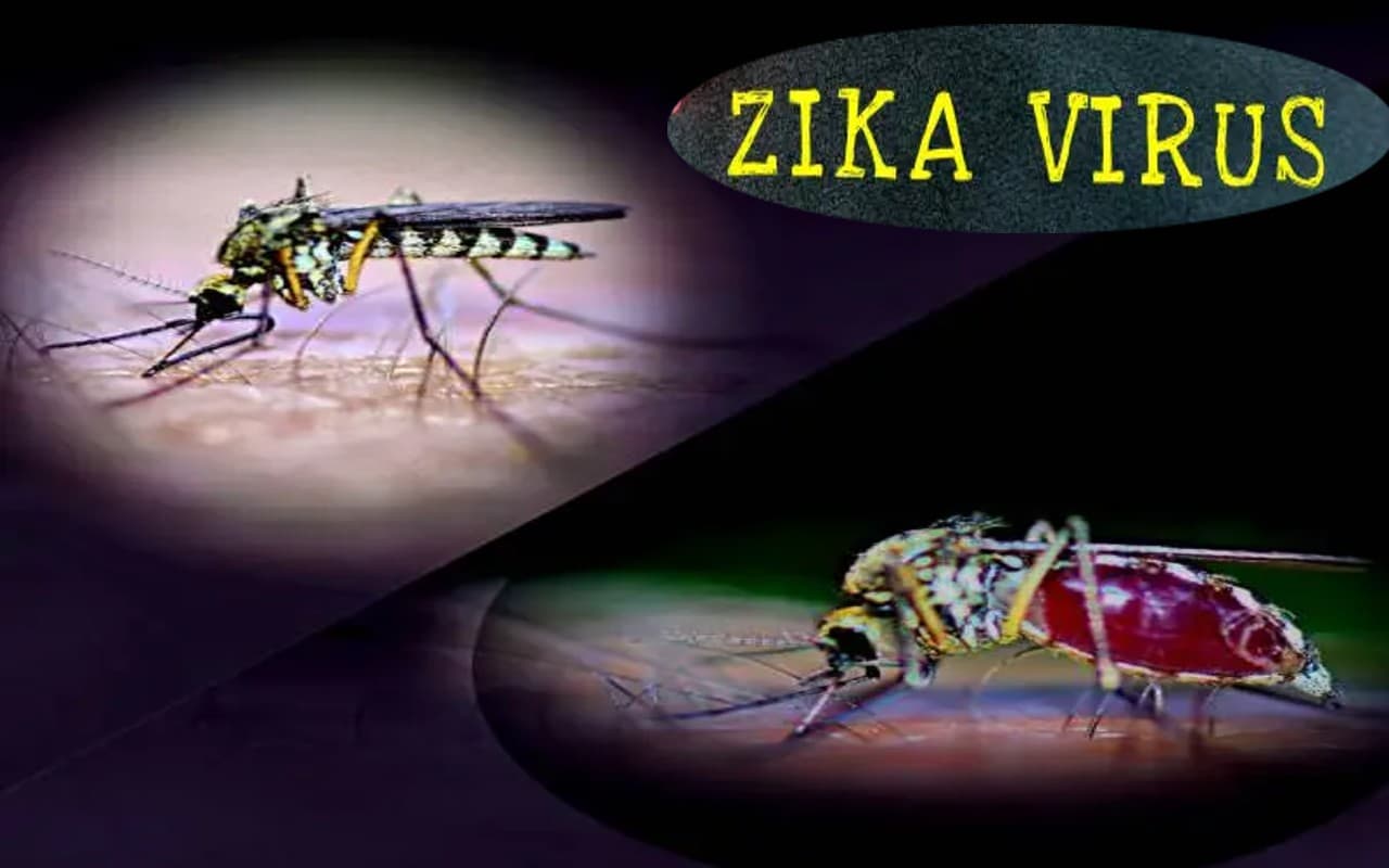 Zika Virus Symptoms: कहां से आया जीका वायरस, कैसे फैलता है ये संक्रमण?जानें क्या है लक्षण और बचाव के उपाय