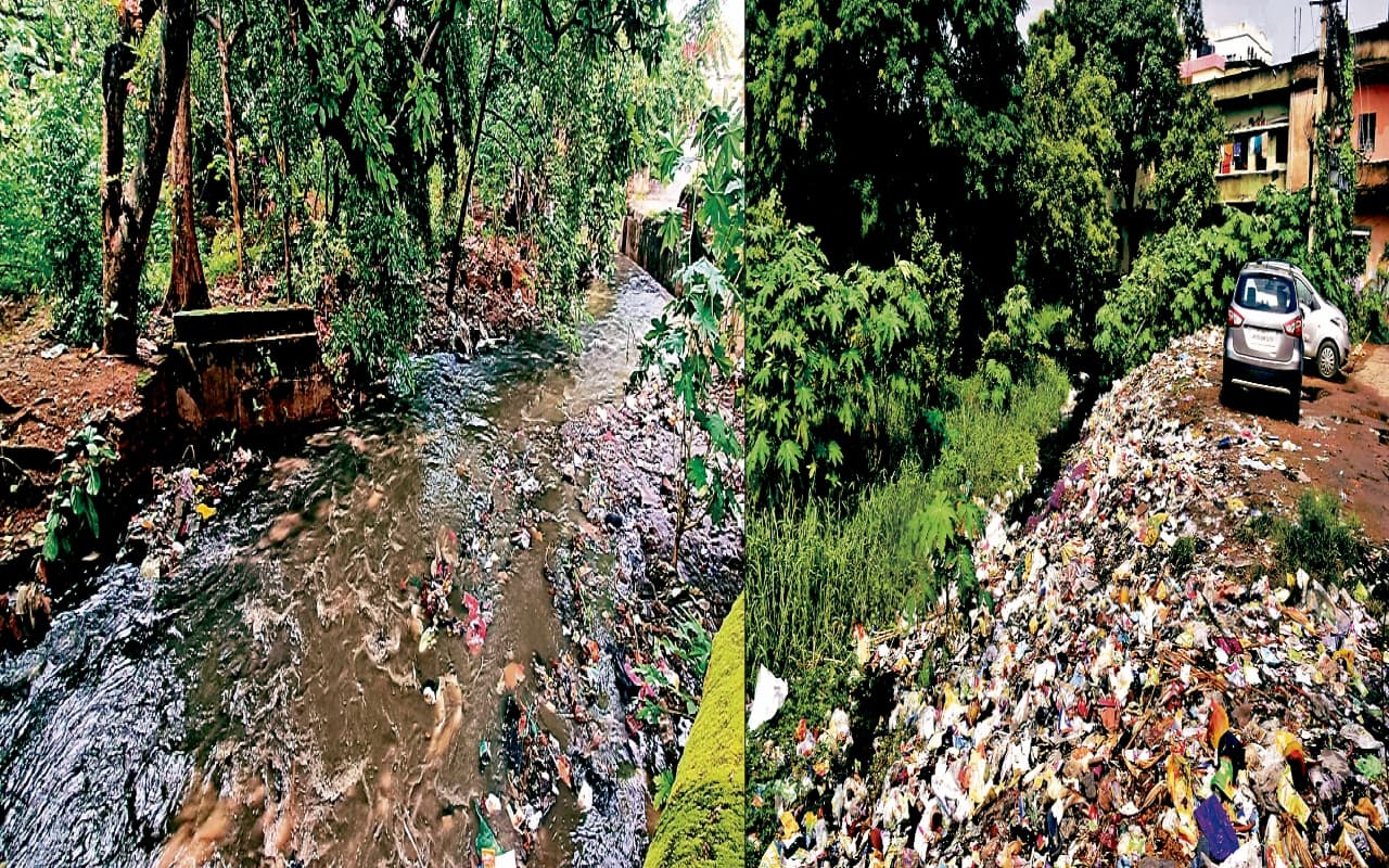 VIDEO : युजवेंद्र चहल की मंगेतर Dhanashree Verma ने गुरु रंधावा संग 'स्लोली-स्लोली' पर किया डांस, यूट्यूब पर खूब मिल रहे व्यूज