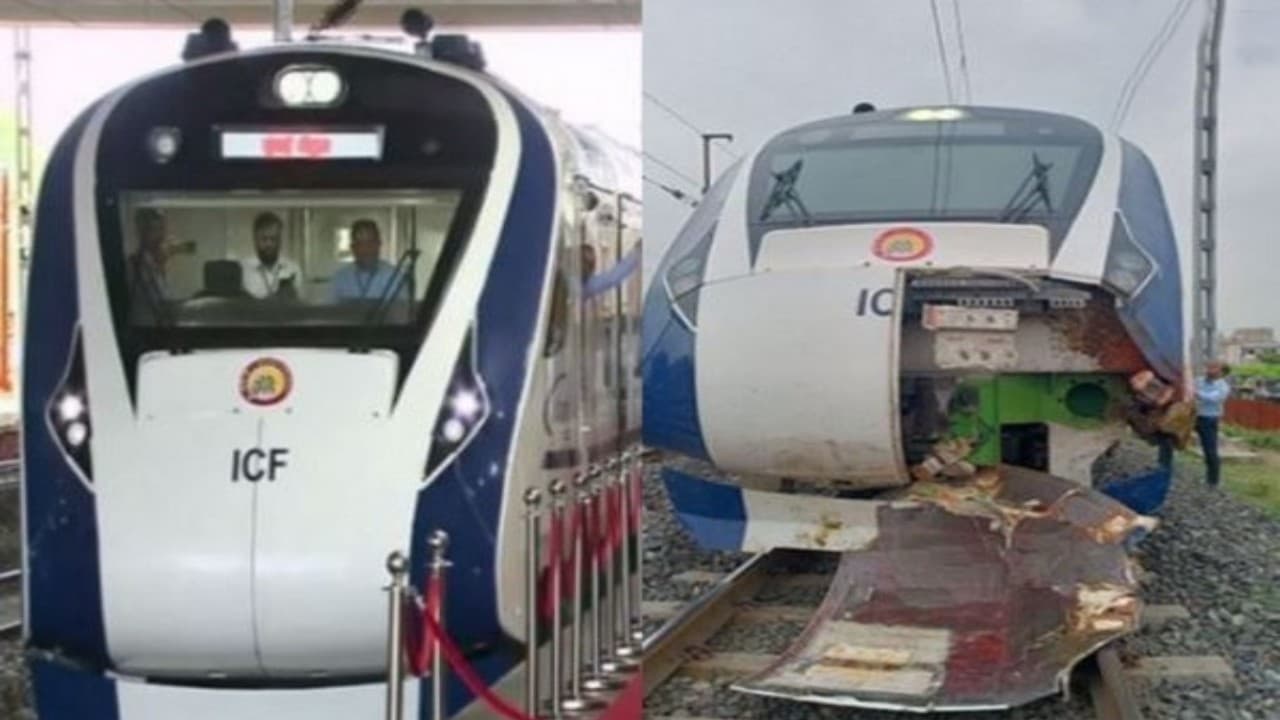 वंदे भारत एक्सप्रेस दुर्घटना में कोई फंक्शनल हिस्सा क्षतिग्रस्त नहीं हुआ, भैंस मालिकों के खिलाफ केस दर्ज