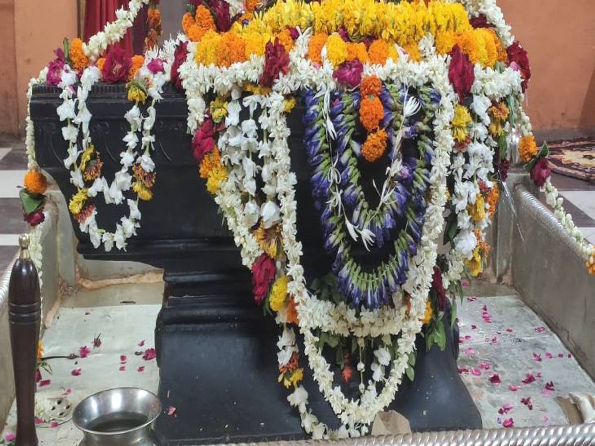 Gyanvapi: आदि विश्वेश्वर की पूजा मामले में आज सुनवाई, सर्वे में ASI की मदद को पहुंचेगी IIT कानपुर की टीम