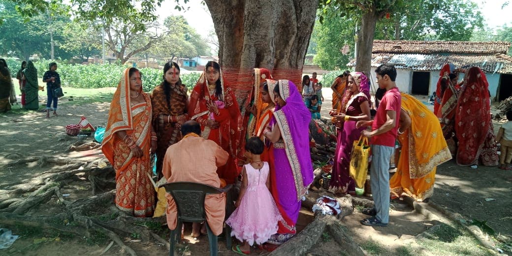 बोधि वृक्ष: प्रेम व करुणा की शक्ति