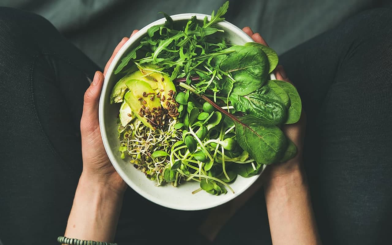 शाकाहार और आध्यात्म से दूर हो सकती हैं जीवन की अनेक समस्याएं