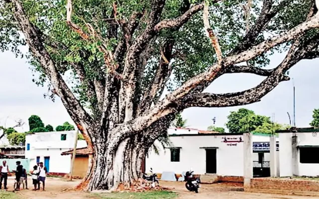 झारखंड का एक ऐसा गांव जहां के ग्रामीण नशेपन से हैं कोसों दूर, पढ़ें पूरी खबर झारखंड का एक ऐसा गांव जहां के ग्रामीण नशेपन से हैं कोसों दूर, पढ़ें पूरी खबर