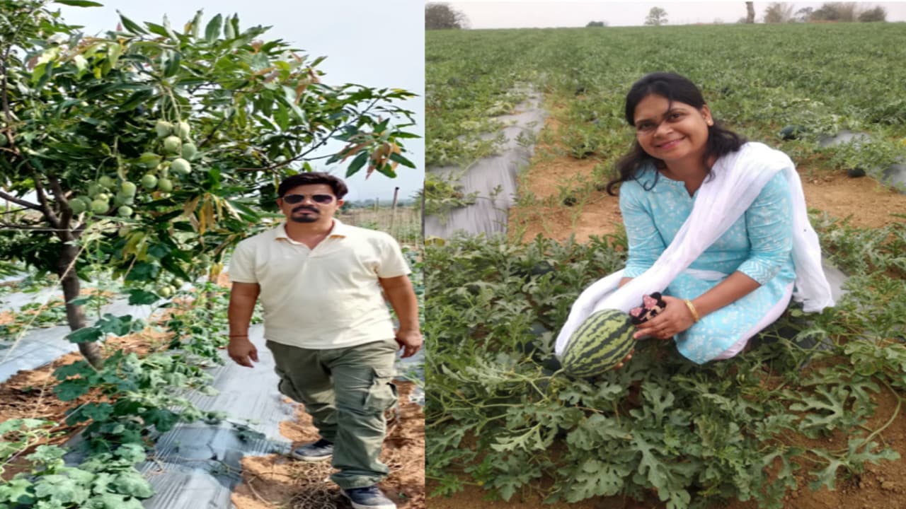 बैंक मैनेजर और मल्टीनेशनल कंपनी की नौकरी छोड़ हजारीबाग के गिद्दी में पति-पत्नी कर रहे बंजर भूमि में खेती