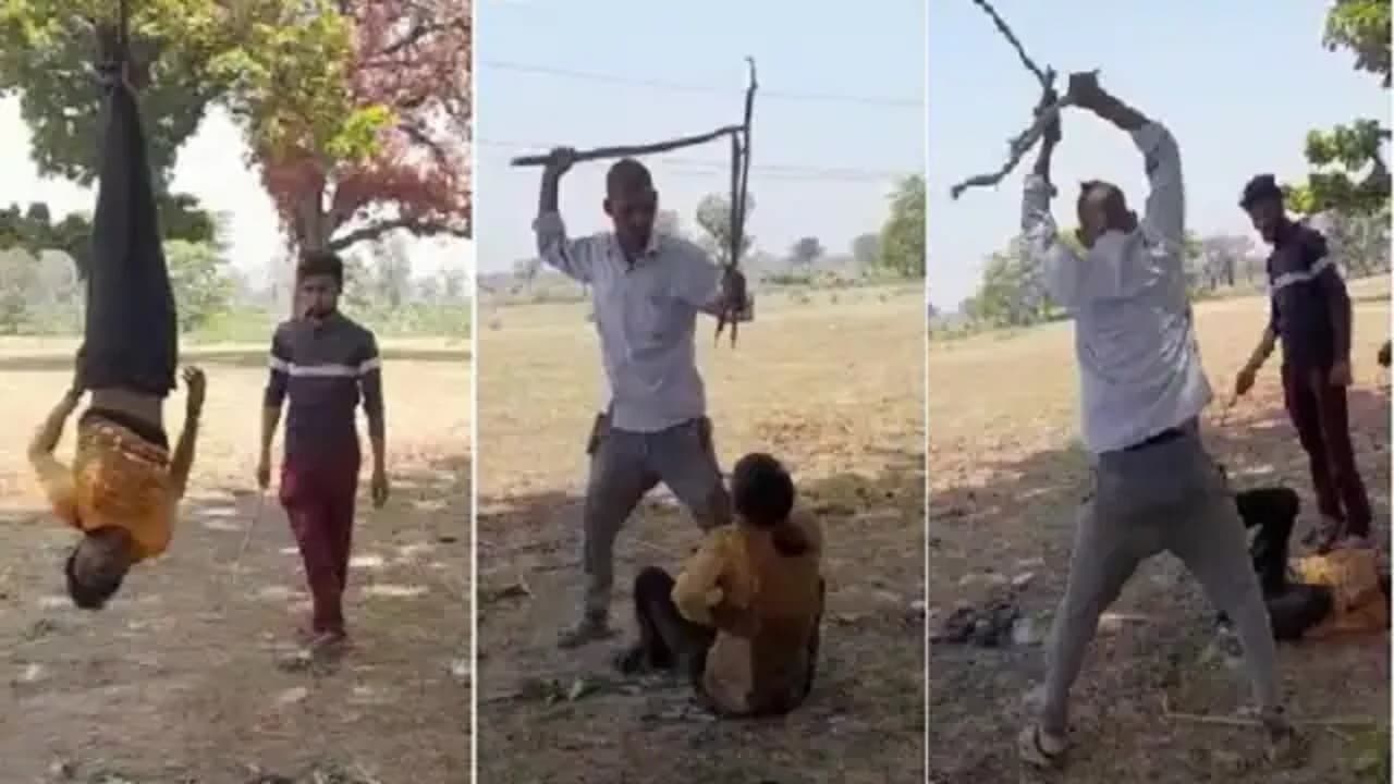 Bilaspur Crime News: चोरी के शक में युवक को पेड़ से उल्टा लटकाकर खूब पीटा, नाबालिग सहित 5 गिरफ्तार