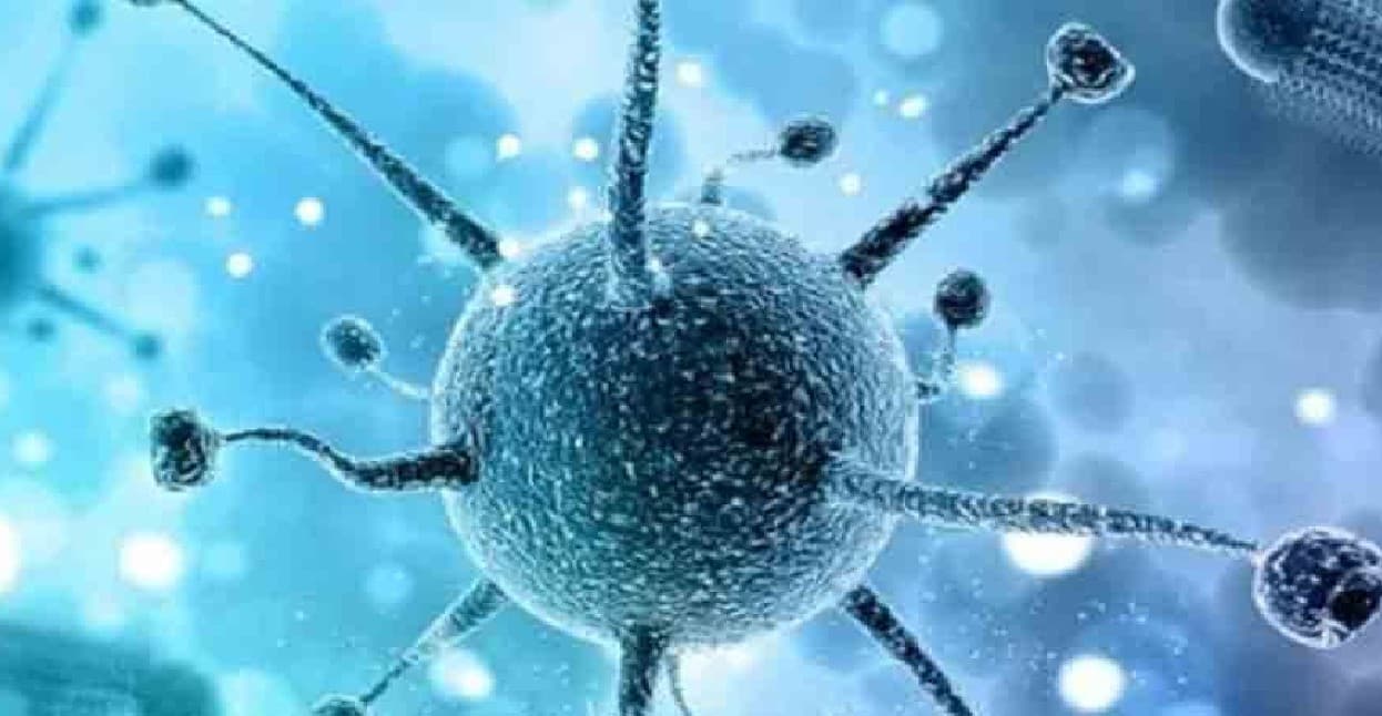 कोरोना के बाद चीन में तेजी से फैल रहा एक और वायरस, दुनिया को ले सकता है अपनी चपेट में