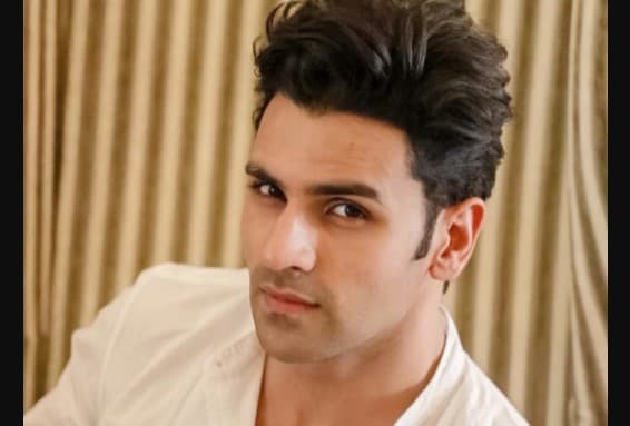 EXCLUSIVE : बिग बॉस में गए तो मैं और दिव्यांका मानसिक संतुलन खो देंगे - विवेक दहिया