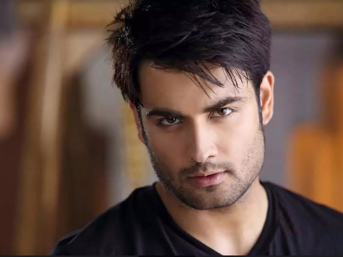 'मधुबाला' फेम Vivian Dsena को मिस्त्र की जर्नलिस्ट से हुआ प्यार, एक्टर जल्द कर सकते है शादी