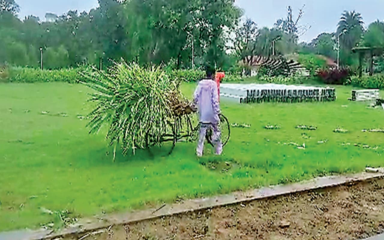 विश्व आदिवासी दिवस पर कार्यक्रम के नाम पर उखाड़े जा रहे पौधे, बिरसा मुंडा स्मृति पार्क में बने मंडप को तोड़ा विश्व आदिवासी दिवस पर कार्यक्रम के नाम पर उखाड़े जा रहे पौधे, बिरसा मुंडा स्मृति पार्क में बने मंडप को तोड़ा