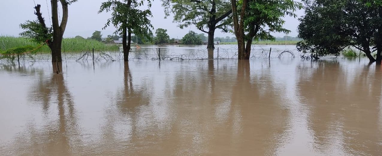 Flood News: नेपाल के तराई में भारी बारिश से VTR के जंगल में घुसा बाढ़ का पानी, देखें तस्वीर