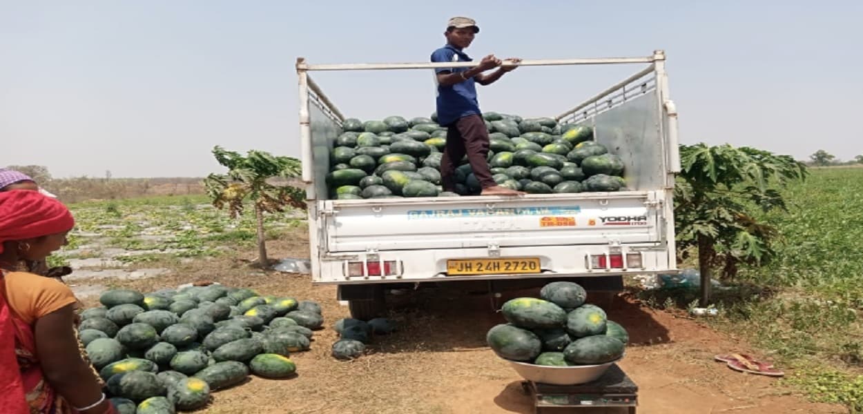 कोलकाता के बाजारों में चढ़ी बोकारो के तरबूज की मिठास, बंजर भूमि में ऐसे हुई थी शुरुआत